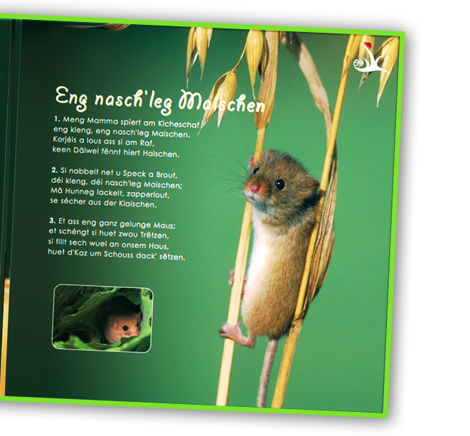 einzelseite